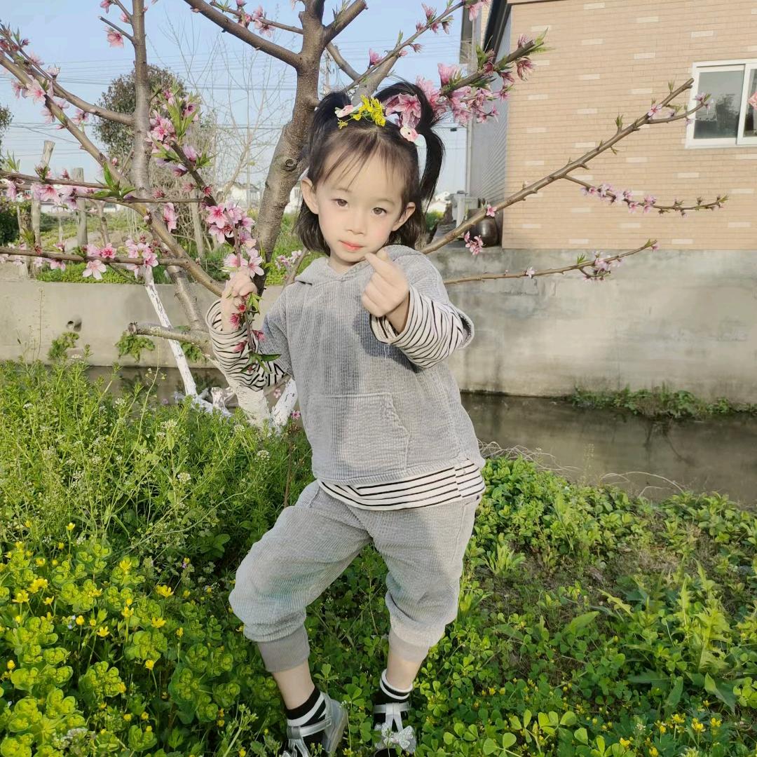 贝贝