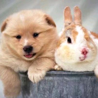 军人无悔（94.12—97.12）