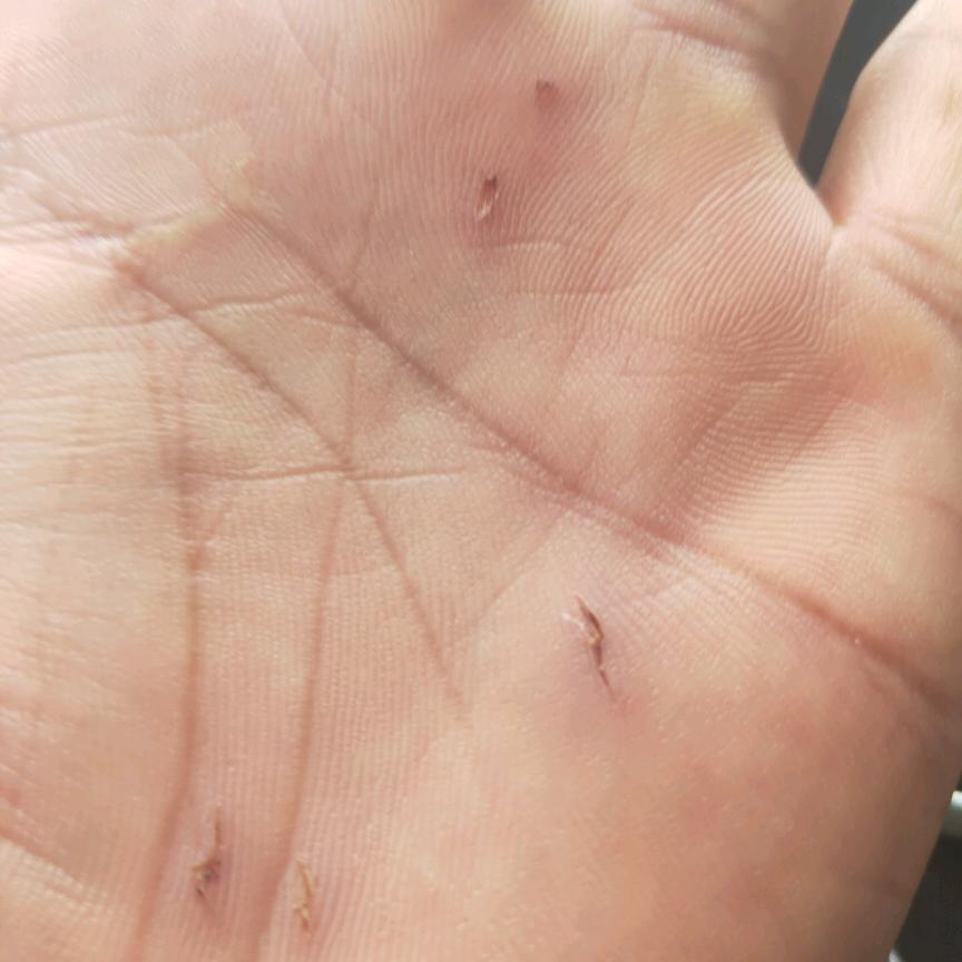 明( ๑ŏ ﹏ ŏ๑ )