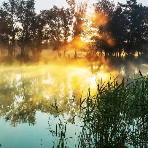 Lszjy(极度自律版)