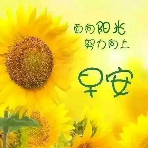 珠珠儿