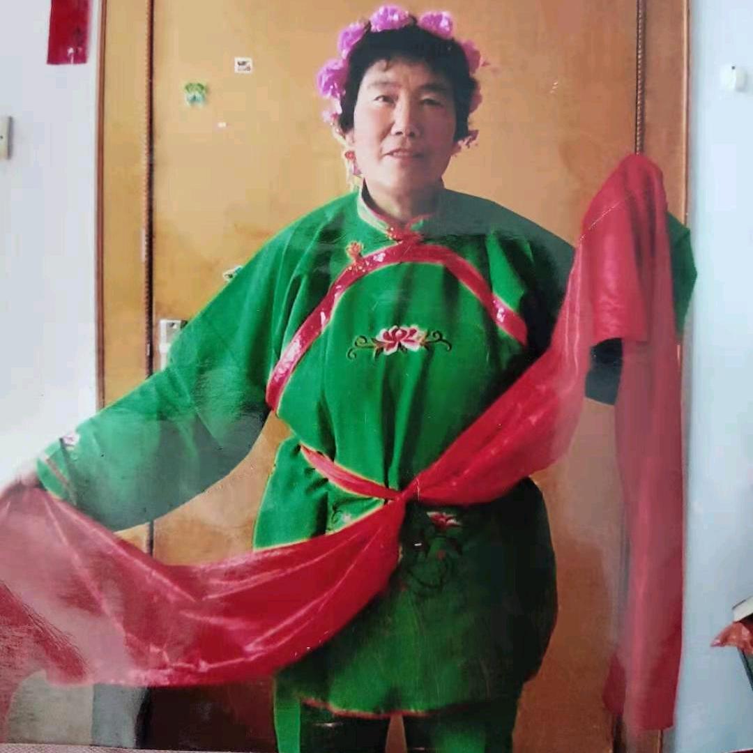 赵庄臧金秀46642252713