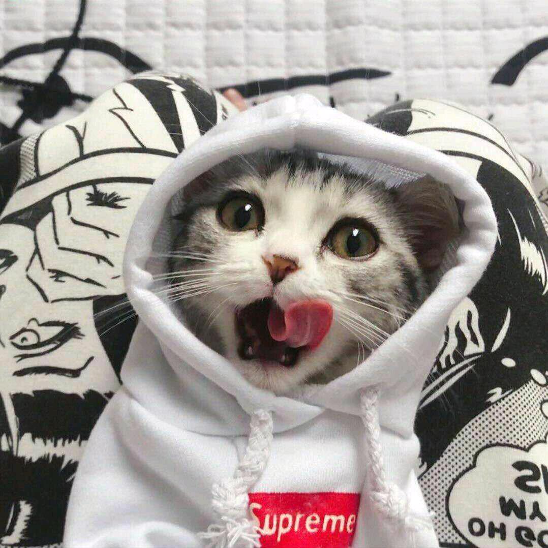 😪