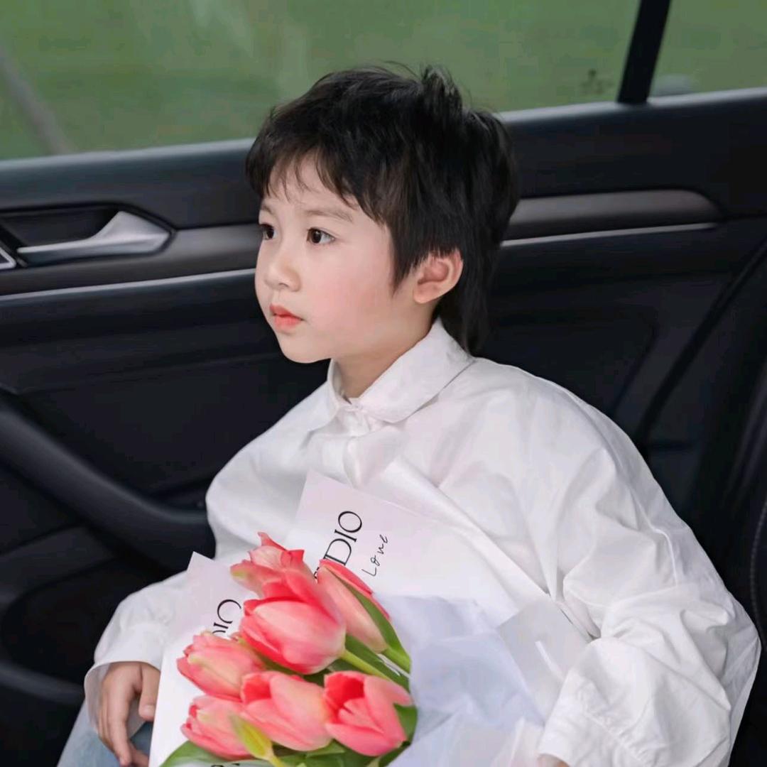 安妮尔