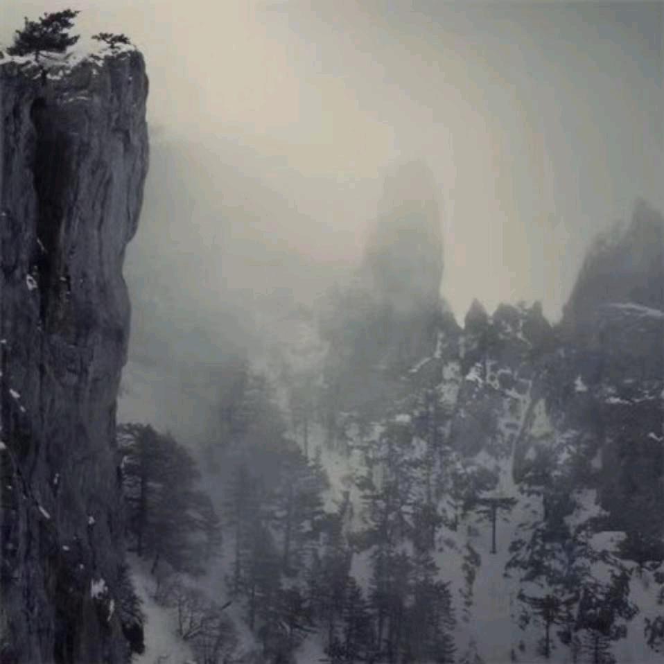 未来可期。