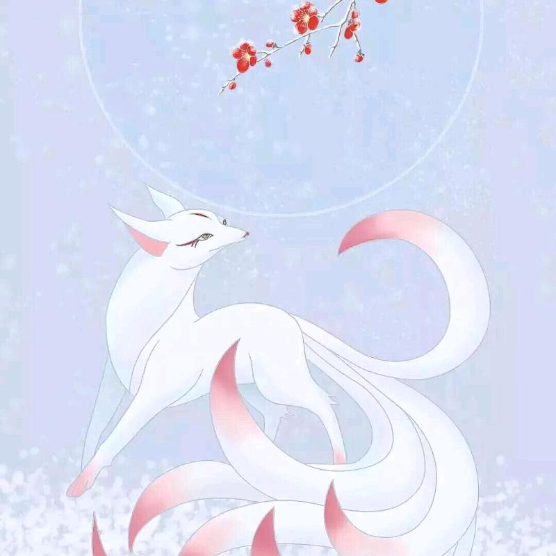 运满乾坤