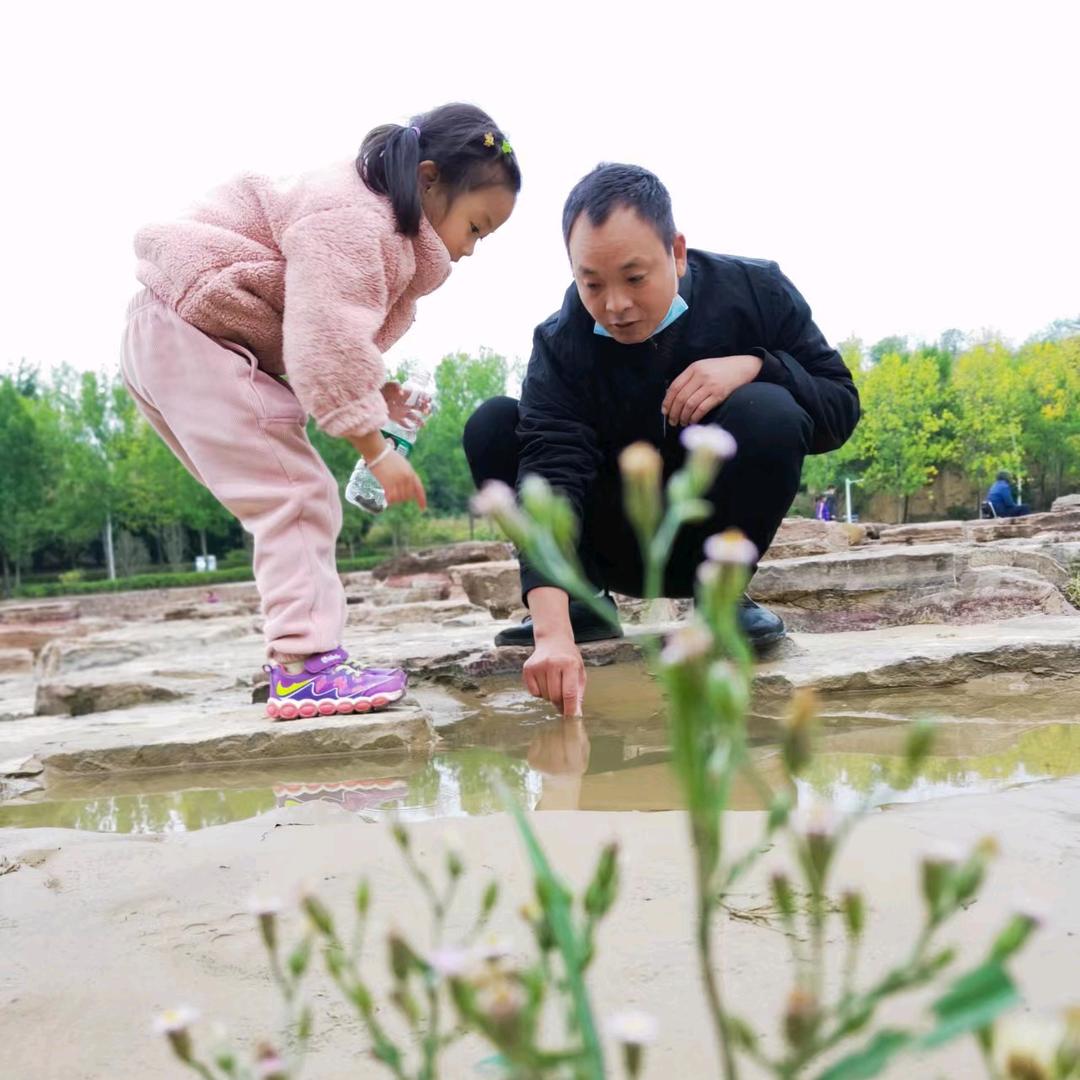飞哥走天下