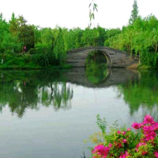 zhuzhibin