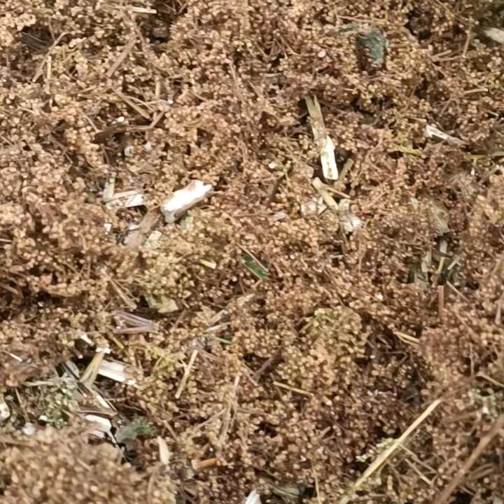 从头再来从头再来