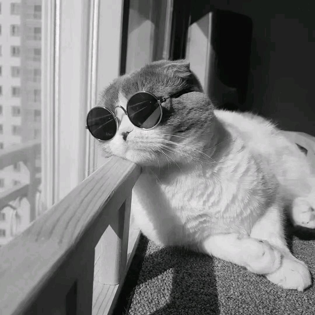 是我