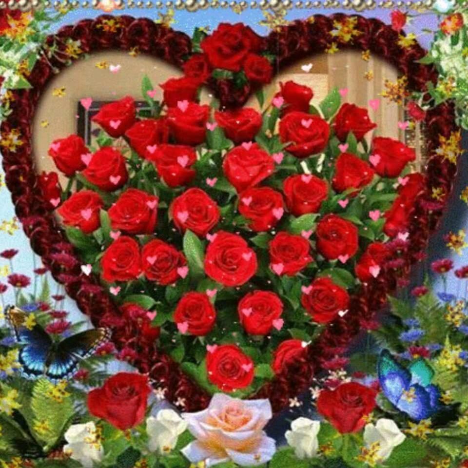 🌹幸福快乐一家人🌹✨