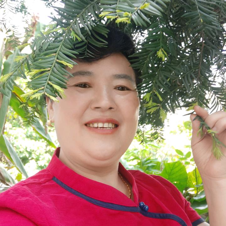 团团圆圆