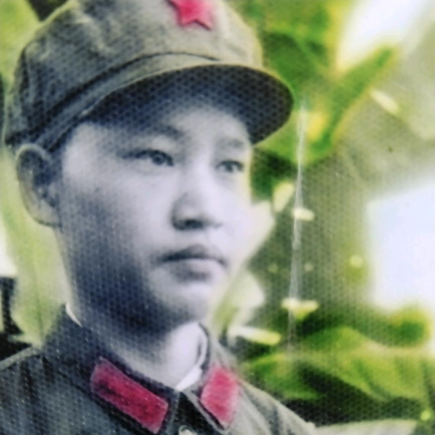 信天游，退伍老兵，