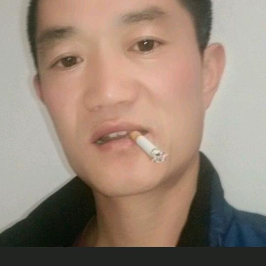 阳光总在风雨后