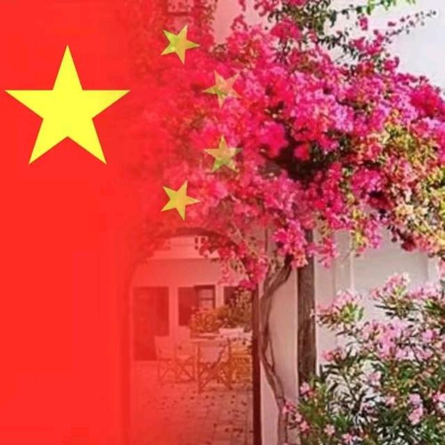 用户4963973710224
