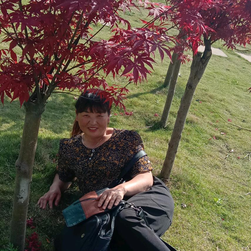 胜境蘑菇园 何贵芬