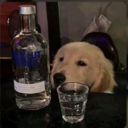 姜姜。
