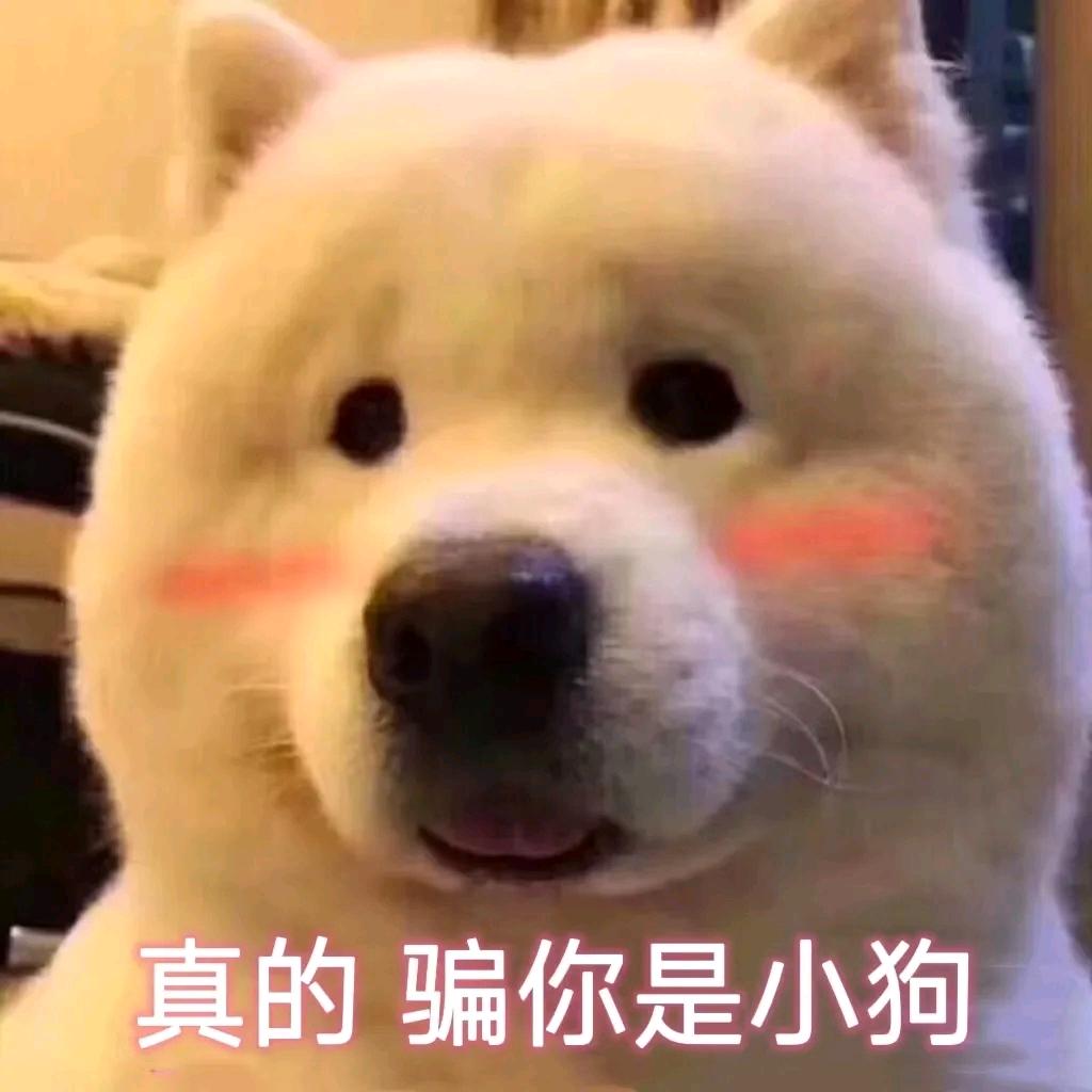 🌈秋风🍃啊