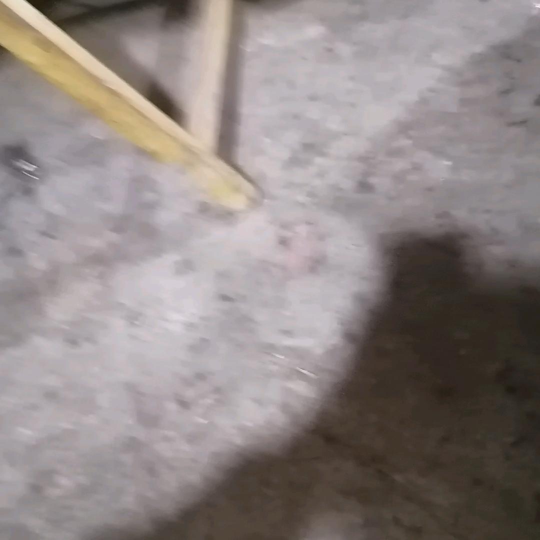 如意