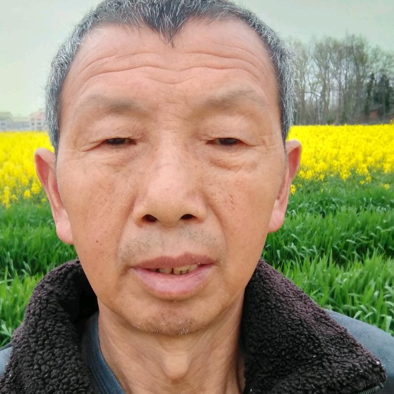 别传发