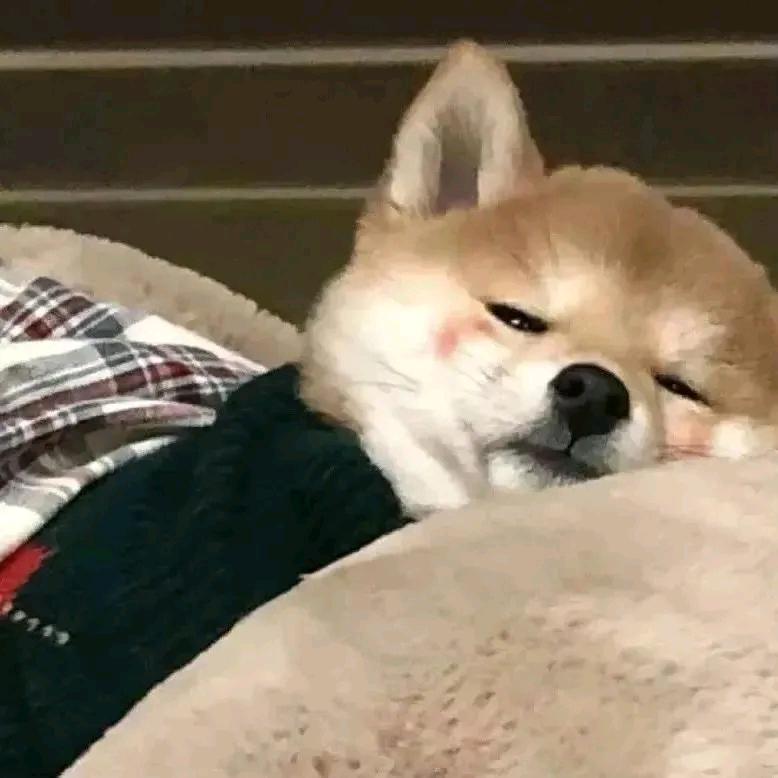 熊猫推文