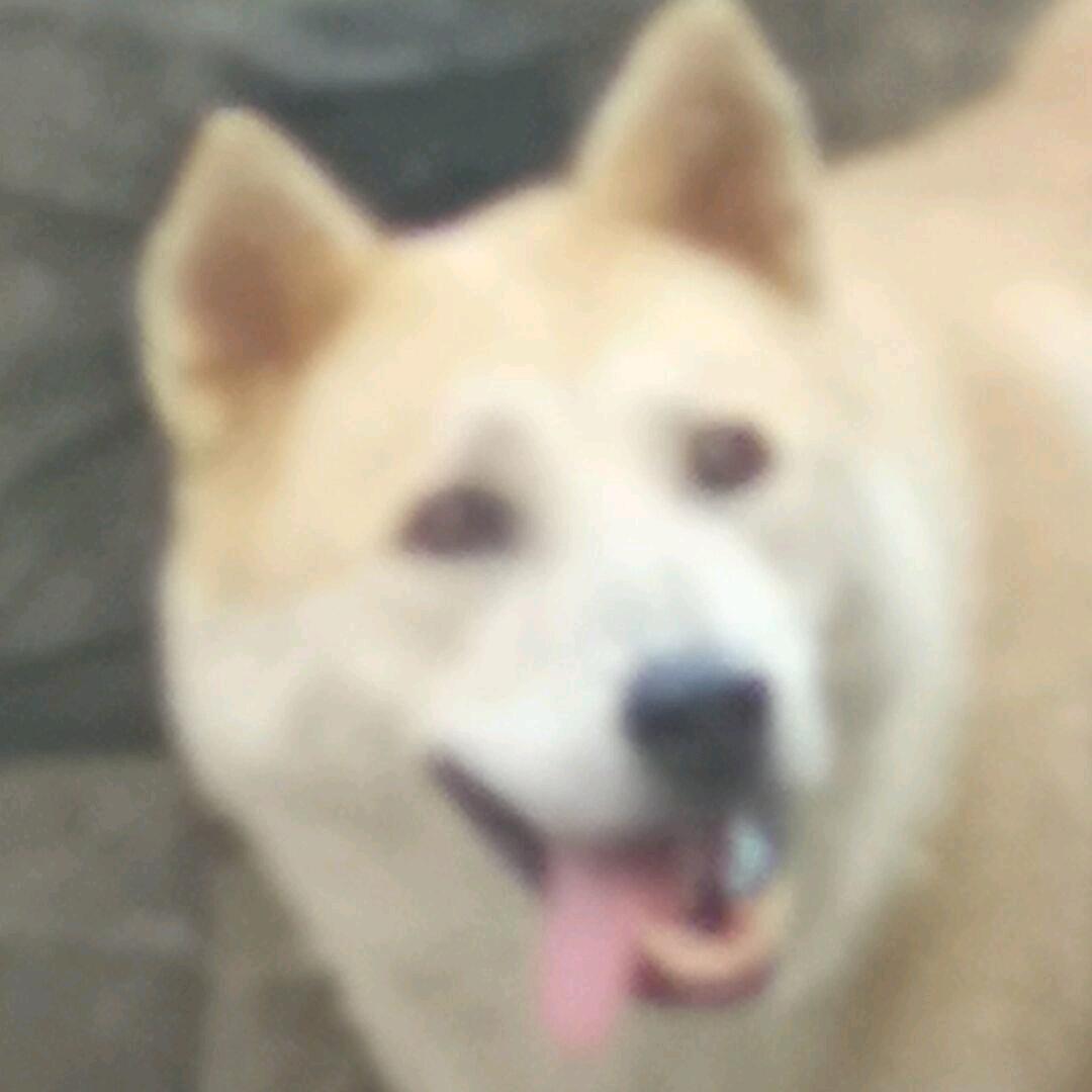 大西洋沿海的张三