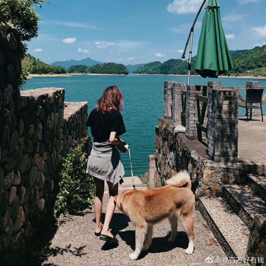 睡不着的泡泡糖：💤