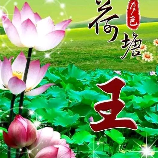 玉兔捣药
