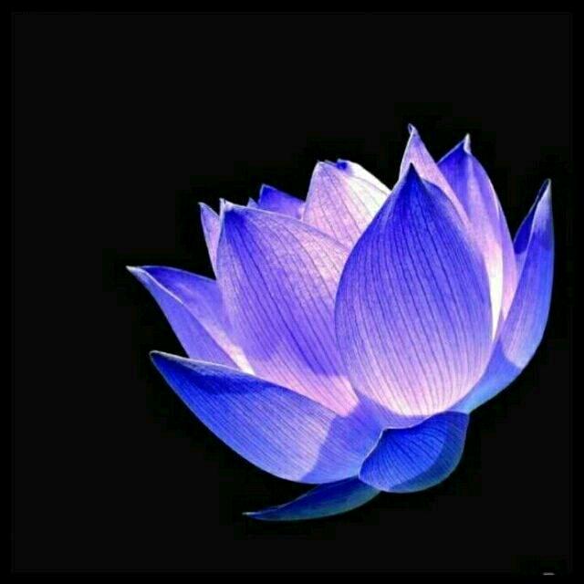 守心向暖 🌼