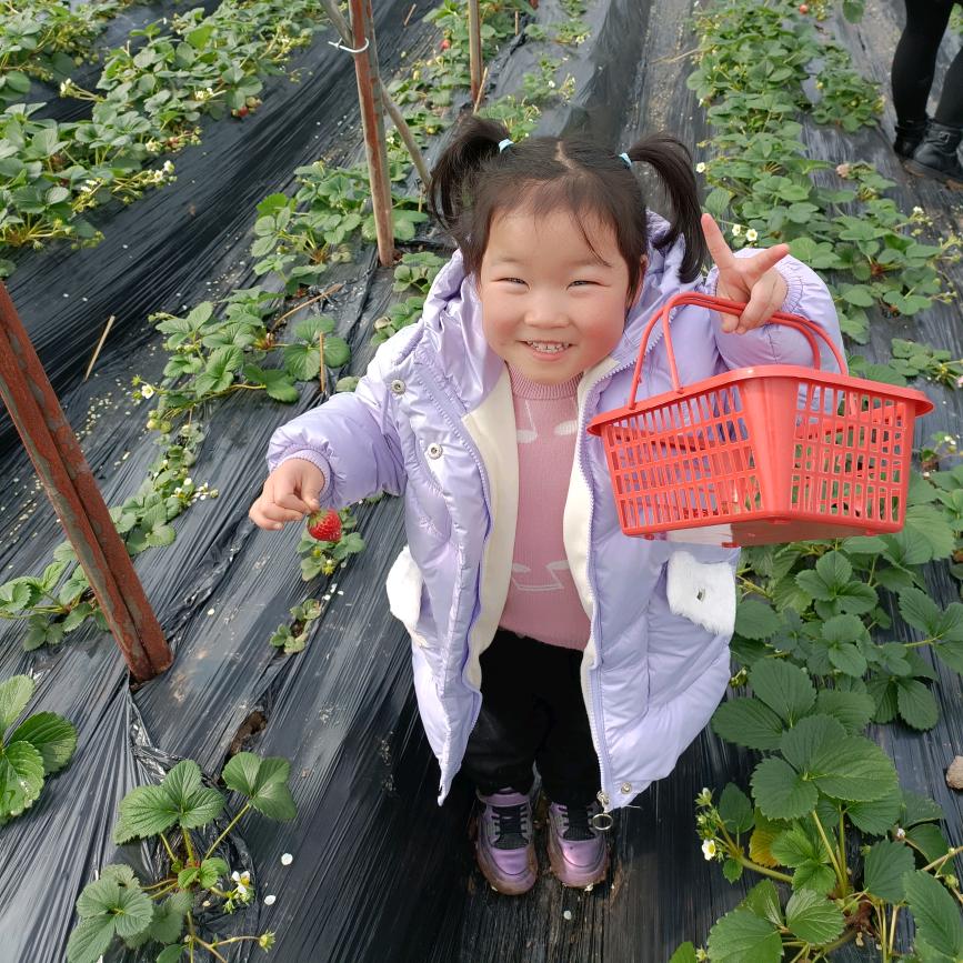 彪哥
