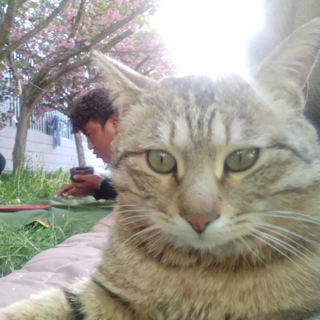 风情爷