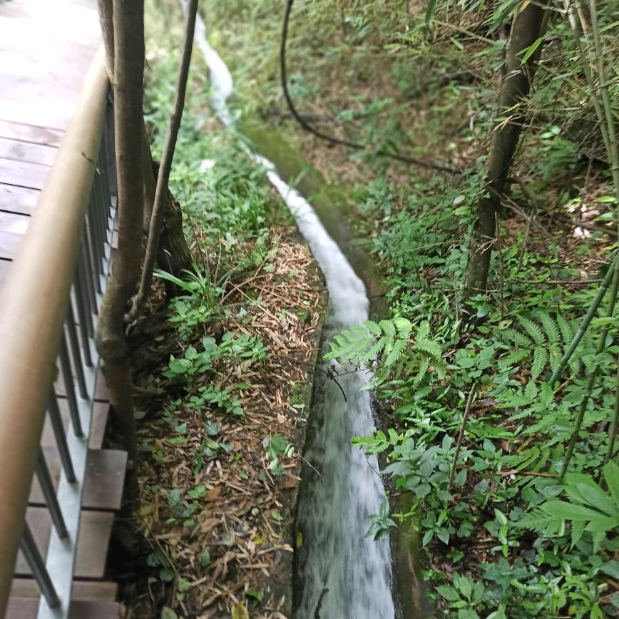 平淡的幸福