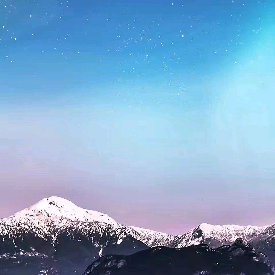 雪中情