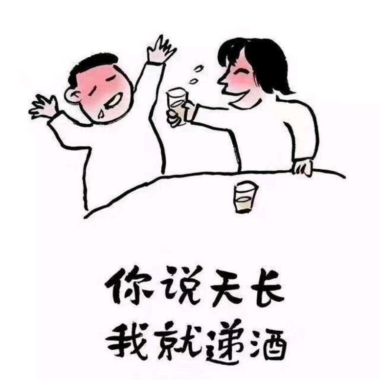 辽H•不倒翁