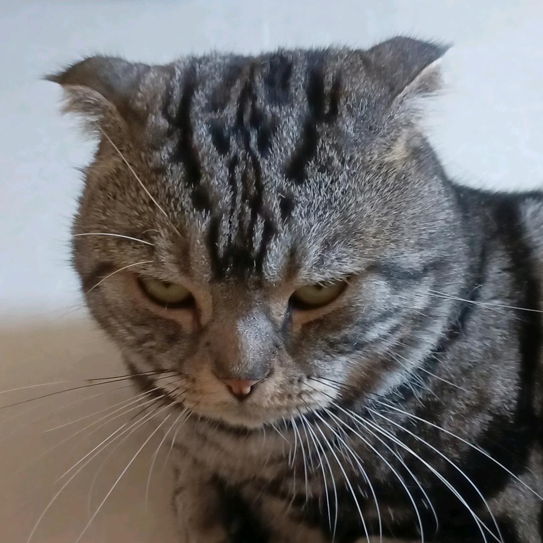 感冒药头像