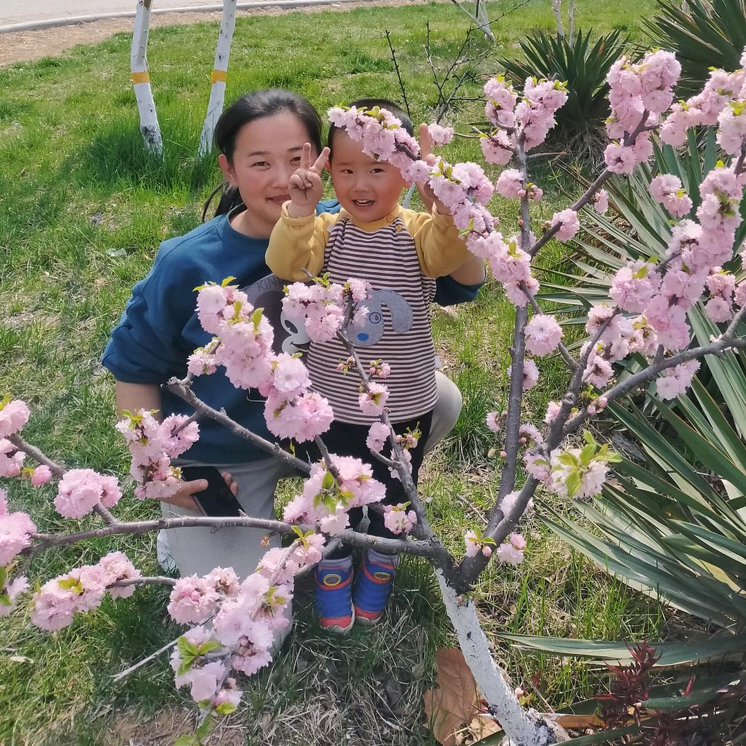 孔家庄大强