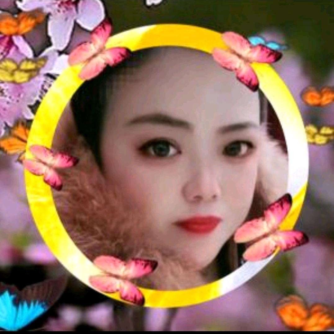 梦阳<<手机摄影>>