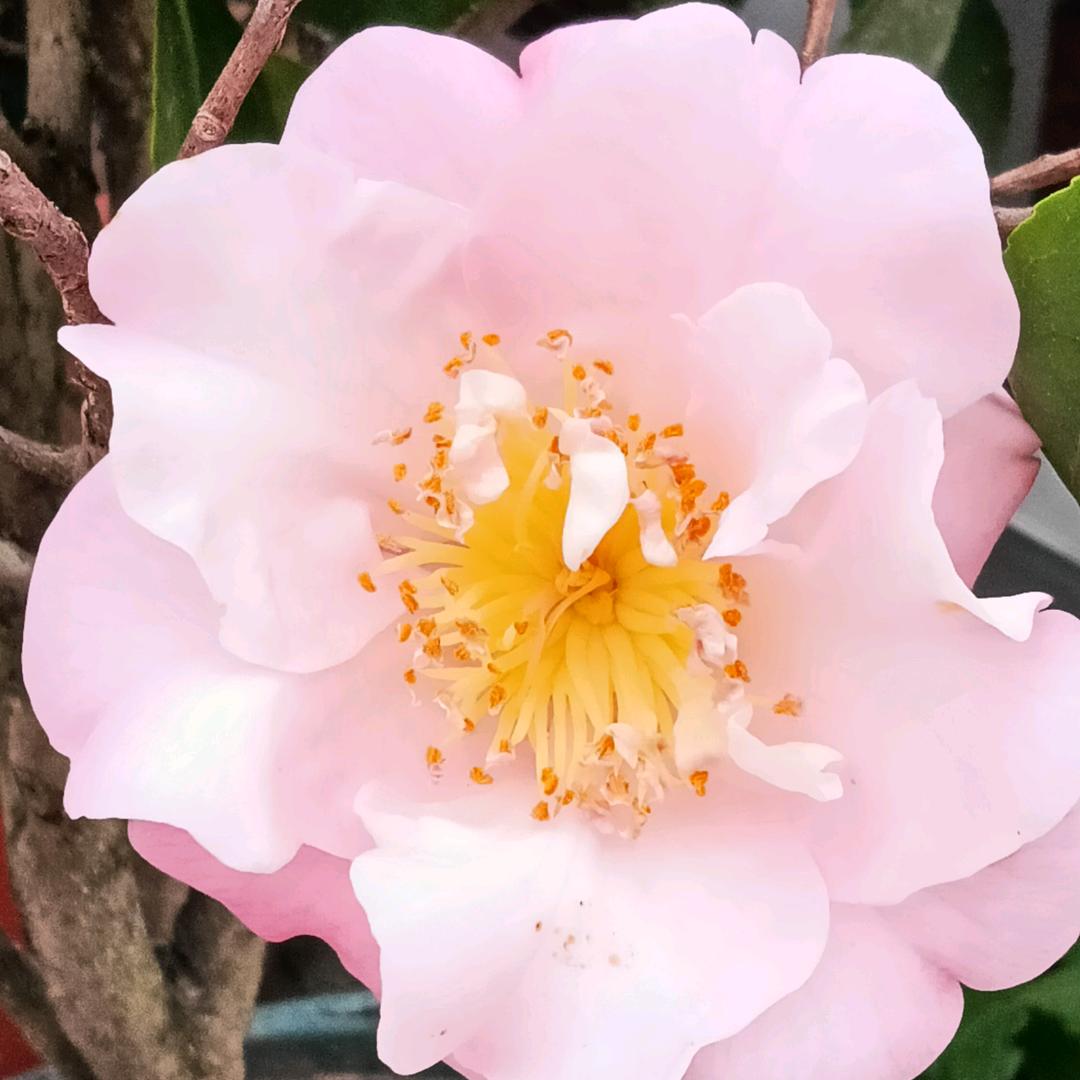 'xipingshuiyue