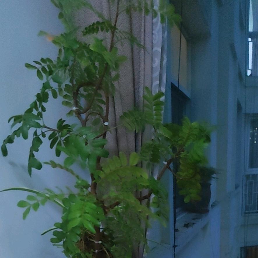 风格618