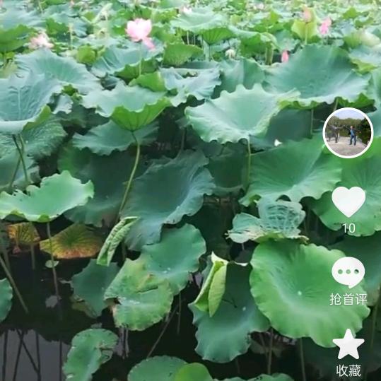 我爱我家