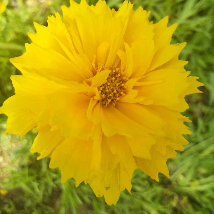 阳光🌷