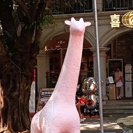 黑夜最闪耀的星