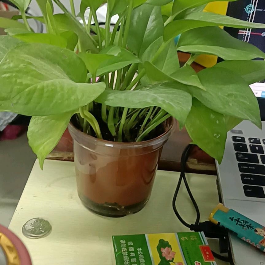 江苏固洲工程关大瑞