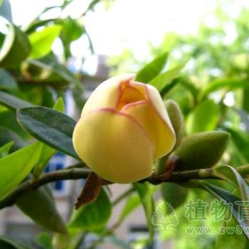 辉县房产顾问谷老师