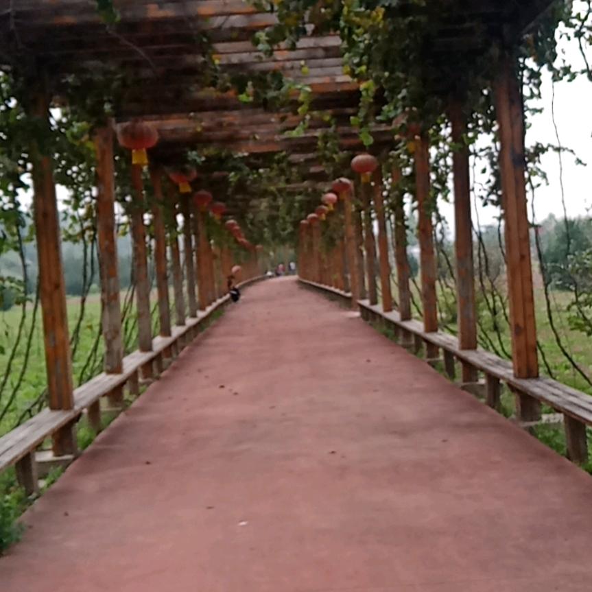 辛寨刚哥（记录生活）