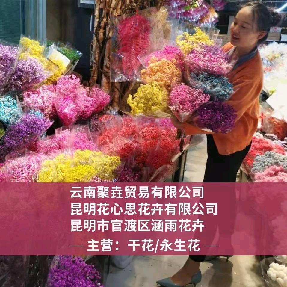 娟姐干花永生花批发