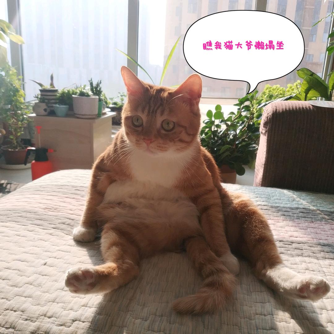 赤峰红山三中博赫接迎班