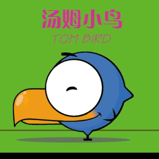 汤姆小鸟