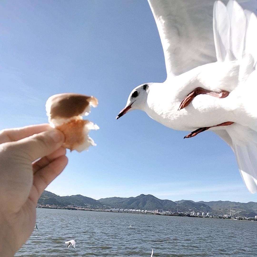 爱就给我一个家