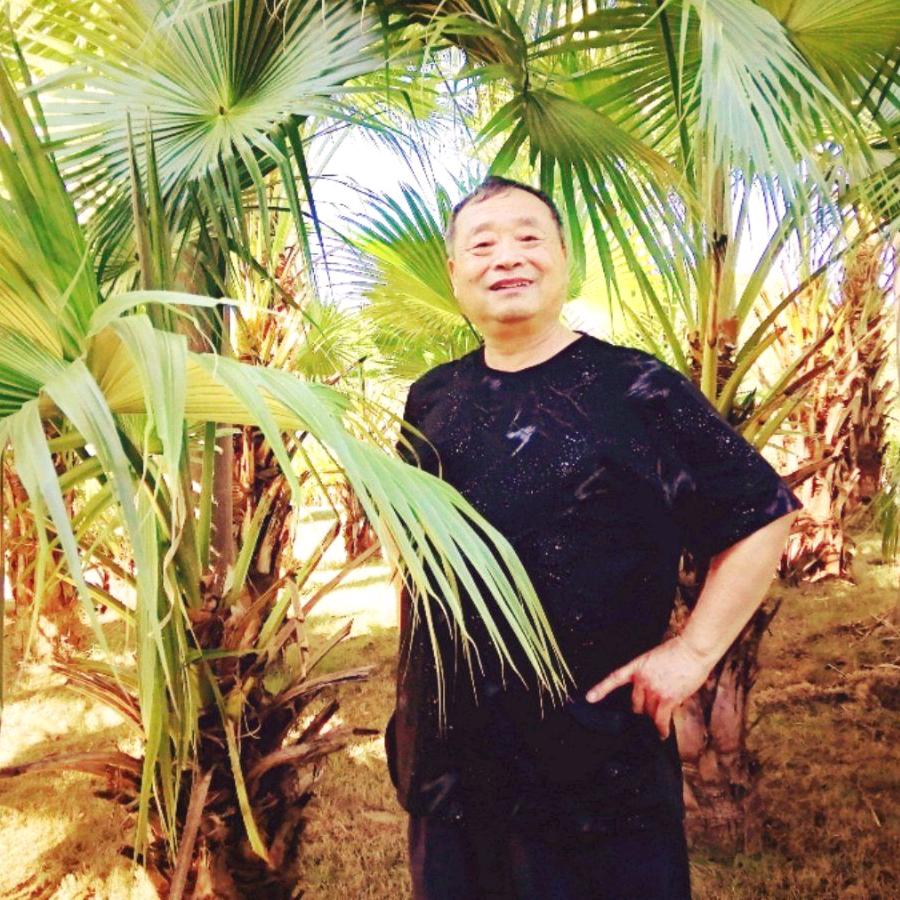 晋唐墨韵